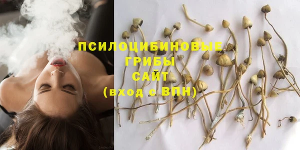 MESCALINE Вязьма