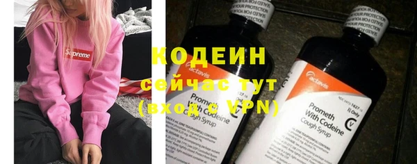 герыч Вяземский