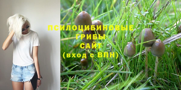 MESCALINE Вязьма