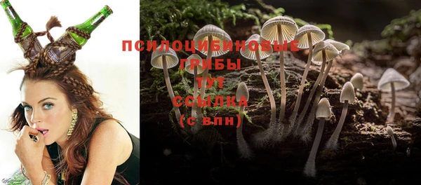 герыч Вяземский